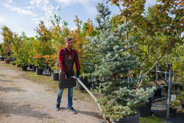 Best Pest Control for Lawns  in Shadeland, IN